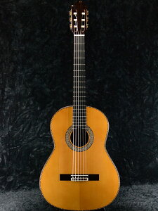 Juan Hernandez Flamenca Profesional Negra Vi[zAGifX][XyC][Classical Guitar,NVbNM^[,Flamenco,tR]