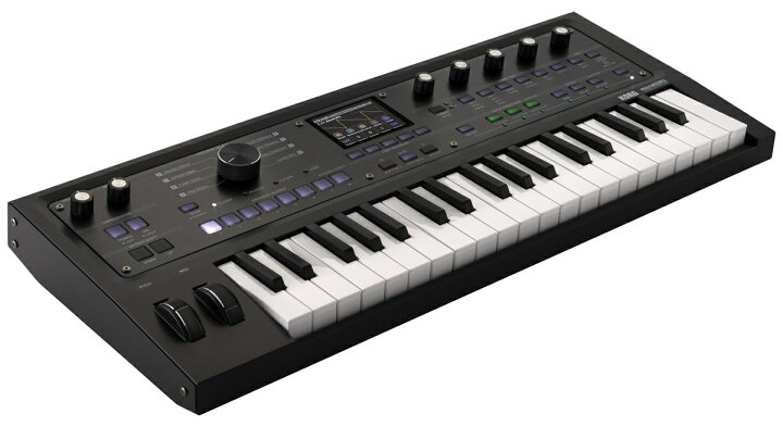 楽天市場】【限定カラー/ソフトケース付!!】KORG microKORG 2 MBK 