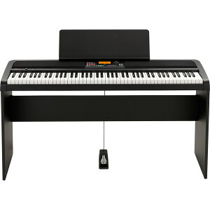 KORG XE20 Digital Ensemble Piano Vi fW^sAm[RO][88][Black,ubN,][Keyboard,L[{[h]