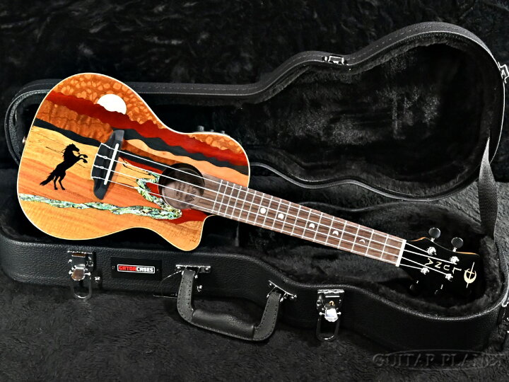 楽天市場】《ハードケース付き!!》Luna Guitars Vista Stallion 