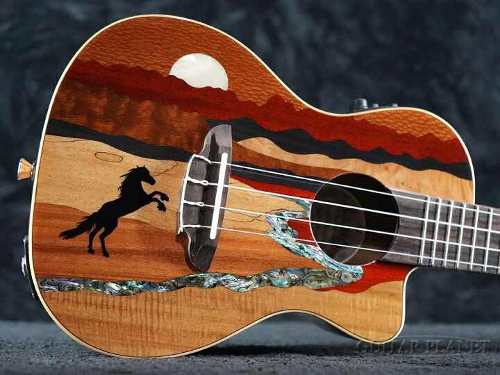 楽天市場】《ハードケース付き!!》Luna Guitars Vista Stallion  