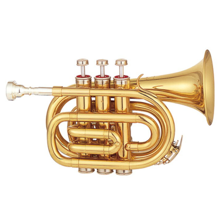 楽天市場】MAXTONE TM-100L 新品 ポケットトランペット[マックストーン 