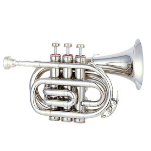 MAXTONE TM-100N 新品 ポケットトランペット[マックストーン][Nickel][Pocket Trumpet,ミニ][金管楽器]