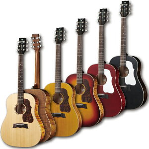 Morris G-021 -Performers edition- Vi[[X][Acoustic Guitar,AR[XeBbNM^[,Folk Guitar,tH[NM^[,ARM][G021]
