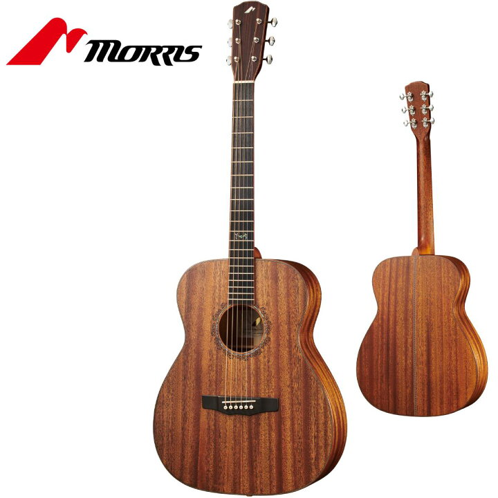 楽天市場】Morris FLB-81 All Maho -HAND MADE PREMIUM- 新品[モーリス 
