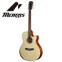 モーリス アコギ 値段 Morris MD-507TS アコースティックギター アコギ 