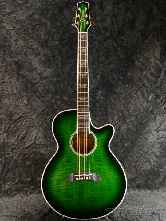 楽天市場】Takamine TDP181AC SGS ~See-through Green Sunburst~ 新品 