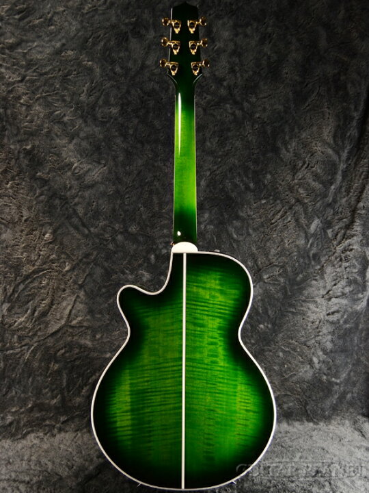 楽天市場】Takamine TDP181AC SGS ~See-through Green Sunburst~ 新品 