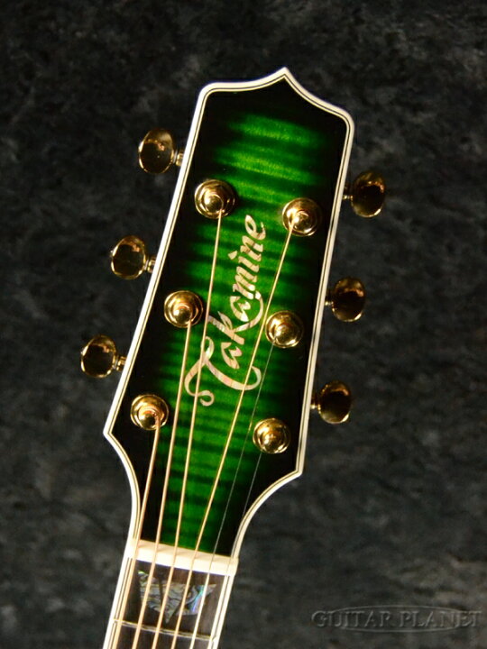 楽天市場】Takamine TDP181AC SGS ~See-through Green Sunburst~ 新品 