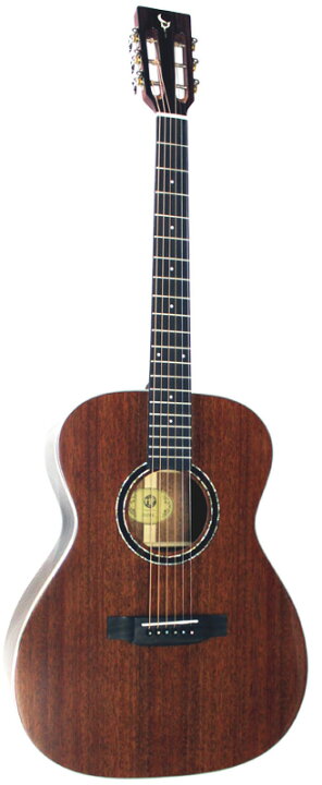 楽天市場】DCT H-310M 新品[Mahogany,マホガニー][Acoustic Guitar 