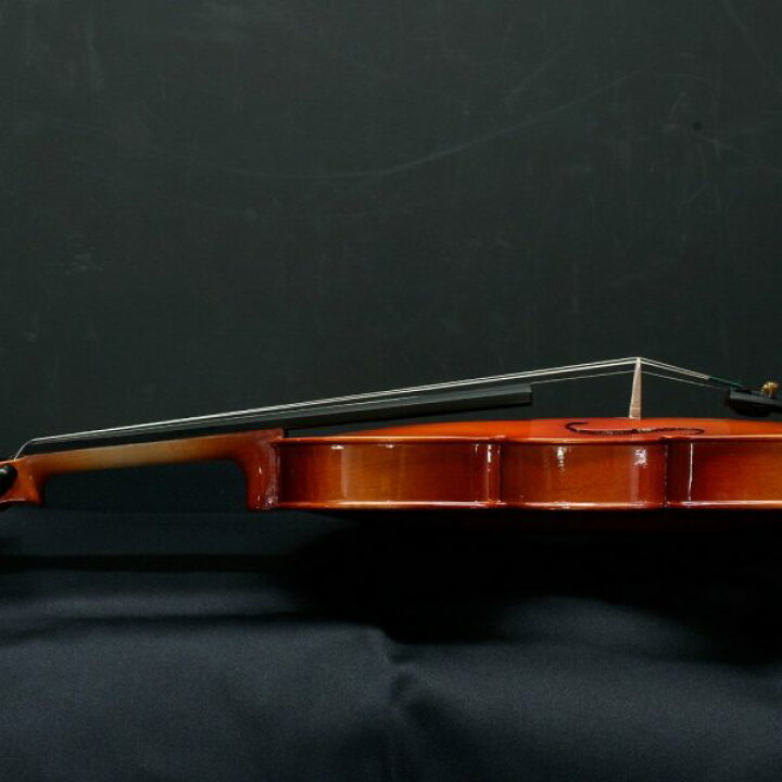 楽天市場】【弓/松脂/ケース付】STENTOR SV-120 1/2 新品 バイオリン 