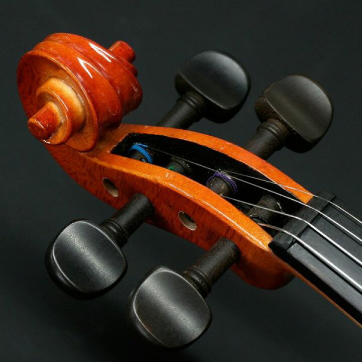 楽天市場】【弓/松脂/ケース付】STENTOR SV-120 1/2 新品 バイオリン 
