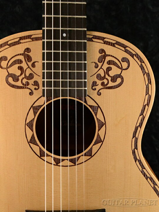 楽天市場】Cordoba Coco Guitar 新品[コルドバ][ココギター 