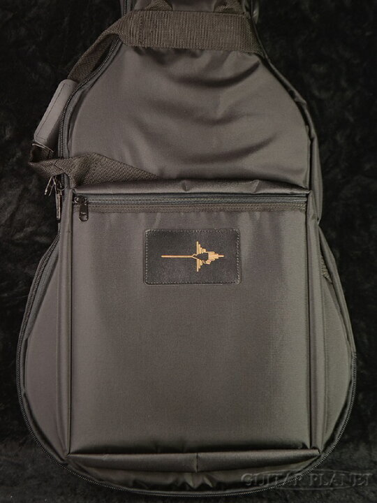 楽天市場】NAZCA Protect Case for AD 新品 フルアコ/ドレッドノート用 