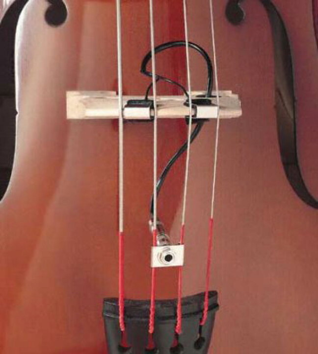 楽天市場】FISHMAN BP-100 ウッドベース用ピエゾピックアップ 新品 