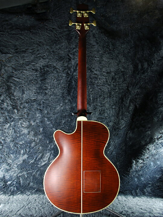 楽天市場】Takamine PB Series B10 新品 専用ハードケース付[タカミネ 