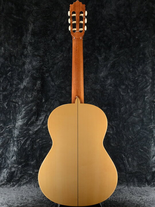 楽天市場】Paco Castillo 211Flamenco 新品[パコ・カスティージョ 