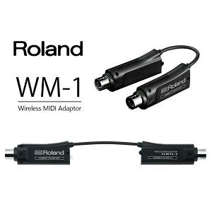 Roland WM-1 Vi Wireless MIDI Adaptor[[h][WM1][CX][L[{[h,VZTCU[,]