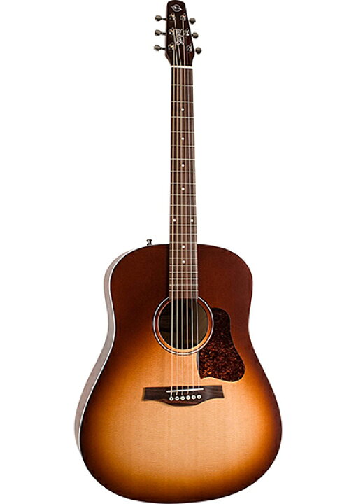 楽天市場】Seagull Entourage Autumn Burst 新品[シーガル 