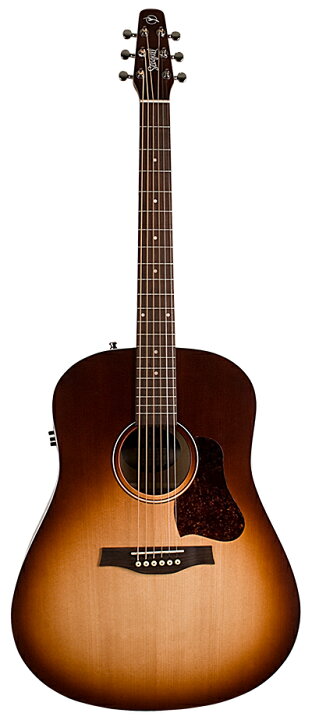 楽天市場】Seagull Entourage Autumn Burst Q1T 新品[シーガル 