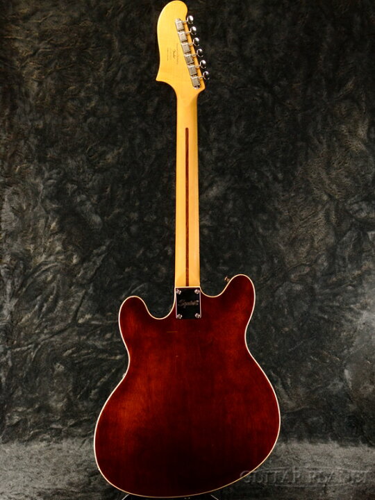 楽天市場】Squier Classic Vibe Starcaster -Walnut / Maple- 新品 