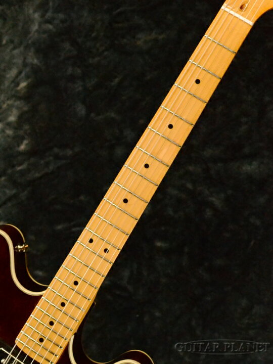 楽天市場】Squier Classic Vibe Starcaster -Walnut / Maple- 新品 