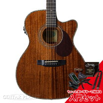 楽天市場】スタッフォード ギター ケースの通販