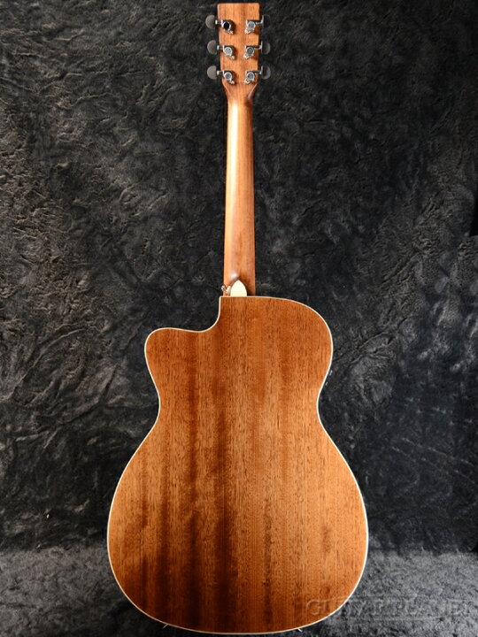 楽天市場】Stafford SF-5C All Mahogany 新品 ナチュラル 