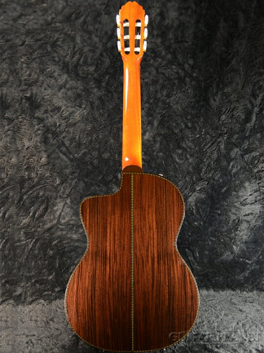 楽天市場】Takamine DMP370NC N 新品[タカミネ][国産][Natural 