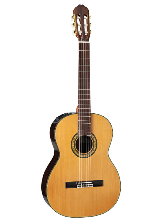 楽天市場】Takamine PTU340N N 新品[タカミネ][国産][Natural 