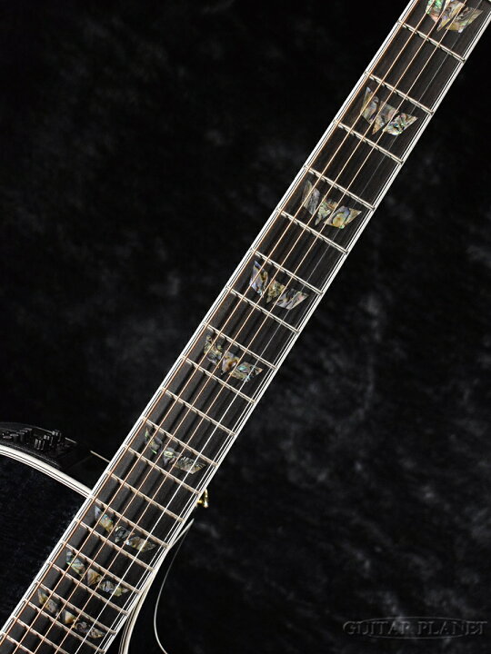 楽天市場】Takamine TDP181AC SBL ~See-through Black~ 新品[タカミネ 