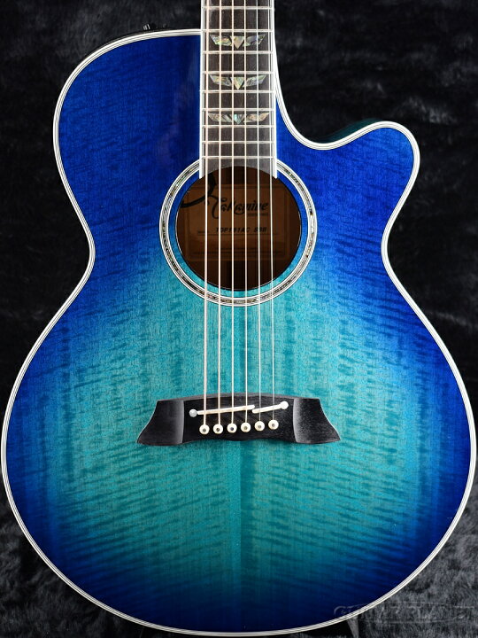 楽天市場】Takamine TDP181AC -See-through Blue Burst (SBB)- 新品 