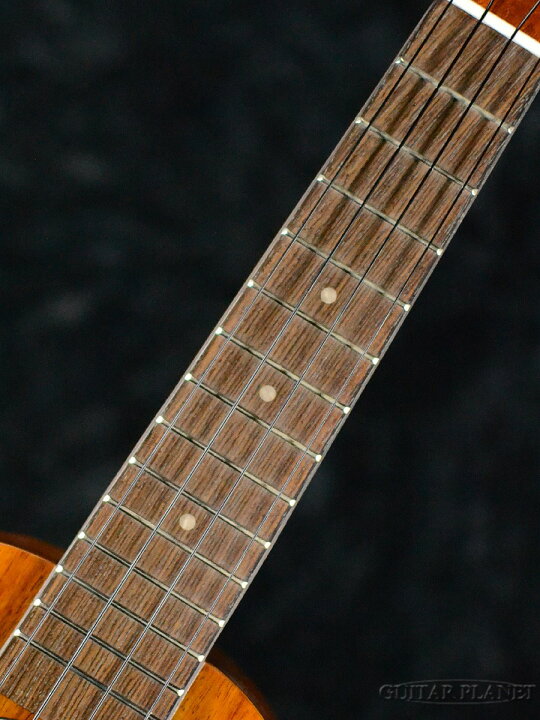 楽天市場】Ilikai IL-SOP-55KGG 新品[イリカイ][Koa,コア][Soprano 