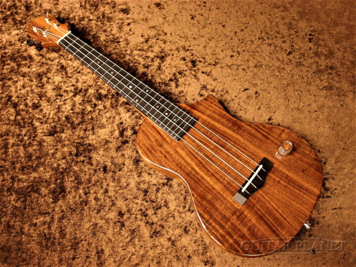 楽天市場】Big Island EUL-ACA-N/EB 新品 コンサートウクレレ/ロング 