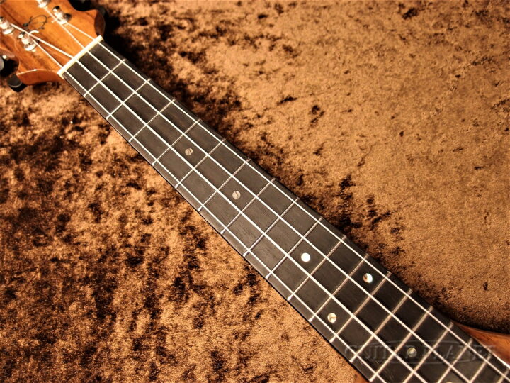 楽天市場】Big Island EUL-ACA-N/EB 新品 コンサートウクレレ/ロング  