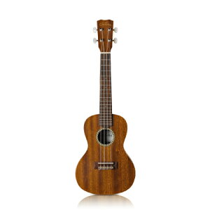 Cordoba 20CM Vi RT[gEN[Rho][Mahogany,}zKj[][Concert Ukulele]