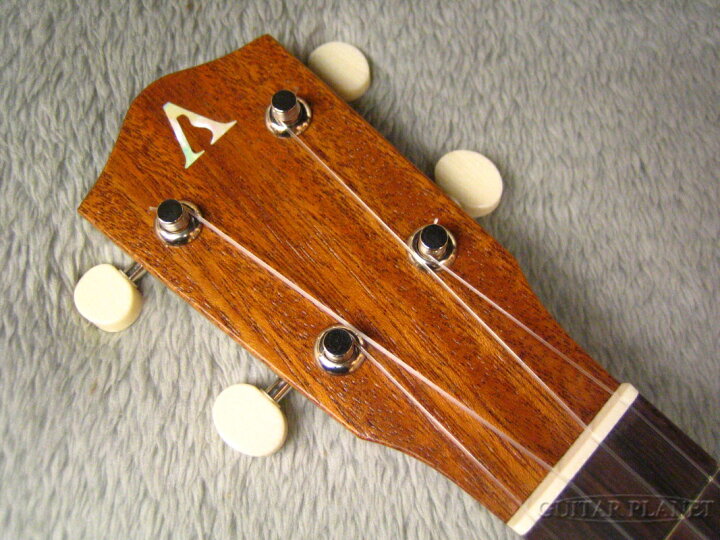 楽天市場】【55本限定】ASTURIAS Tiny Concert Vintage C コンサート 