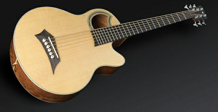 楽天市場】Warwick RockBass Alien Deluxe 6st 新品 ナチュラル 