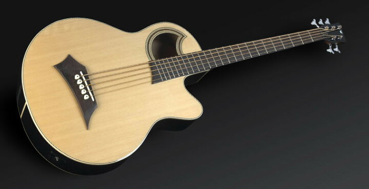 楽天市場】【新品アウトレット】Warwick RockBass Alien Standard 5st 