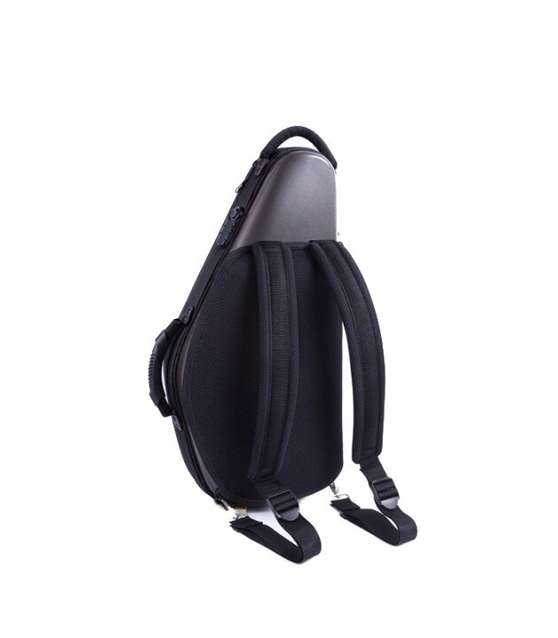 楽天市場】bags EFAS F-WHT 新品 アルトサックス用ケース[バッグス 