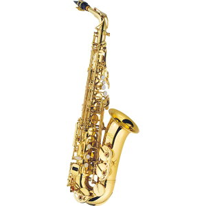 J.Michael AL-500 Vi AgTbNX [J}CP][TN\tH][Alto Sax][AL500][؊Ǌy]