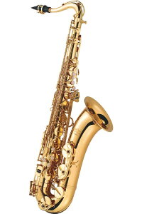 J.Michael TN-900 Vi ei[TbNX [J}CP][TN\tH][Tenor Sax][TN900][؊Ǌy]