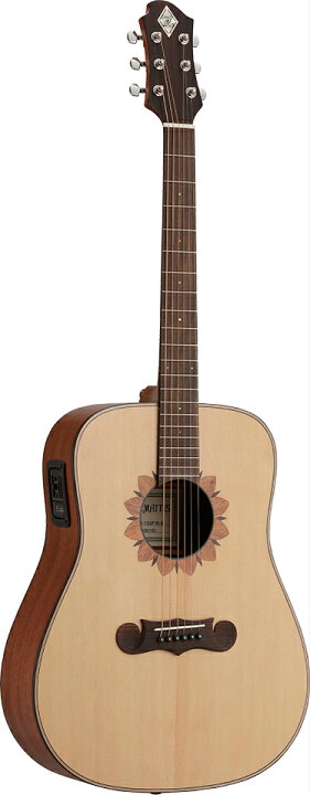 楽天市場】Zemaitis CAD-100FW-E 新品[ゼマイティス][L.R.Baggs搭載 