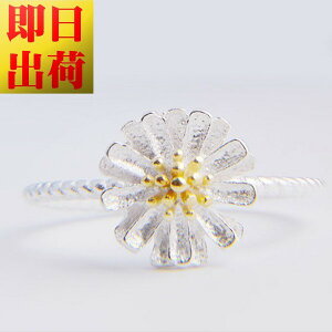 t[TCY/fCW[ O/w/fB[X/Vo[925 v`idグ/C^O Mtg v[g  ޏ    