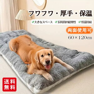 lGp̃ybgpxbh S[fEgo[ ^ybgpQAʎgp pxbh Lpxbh Qp\tgxbh tt ѕz}bg