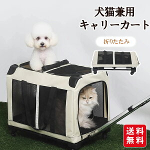 Lp L[J[g LX^[t ^E^Ή L[ Rei ybgL[ pL[obO    ԍ J[g ܂݉ ȃXy[X ybgp s ʉ@ 