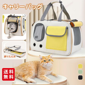 L[obO bV ybgL[ 2WAY ybg \tgL[ y ^ L  ybgobO ܂肽 V_[ ΂߂  | ʋC