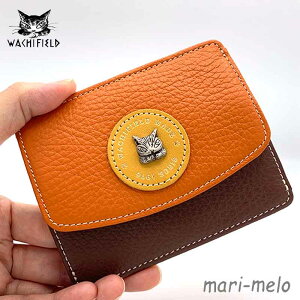 y yjIz _ 킿ӂ[ _ObY qR J[hK IW× _ ˂ L̃_ L wachifield  킢 LN^[ v[g Mtg {v ̓