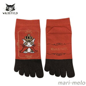 y yjIz _ 킿ӂ[ _ObY C 5{w \bNX NE L ˂ lR ObY L̃_ dayan  LD 킢 LN^[ 25J