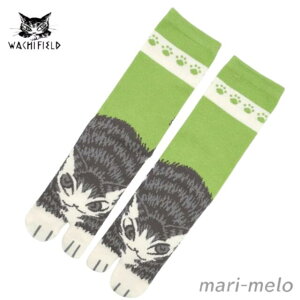 y yjIz _ 킿ӂ[ _ObY C ܃\bNX L̂ہE L ˂ lR ObY L̃_ dayan  LD 킢 LN^[ 25D